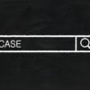 search bar