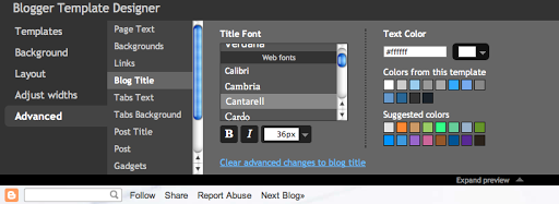 Web Fonts (1)