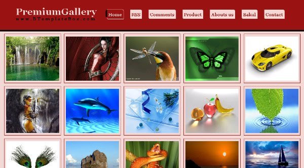 image gallery blogspot theme