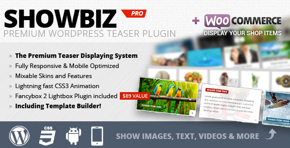 20 Best Free And Premium WordPress Slider Plugins