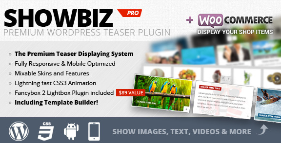 20 Best Free And Premium WordPress Slider Plugins
