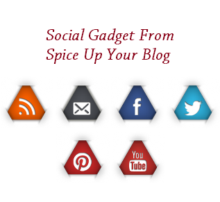 social-gadget-from-spice-up-your-blog